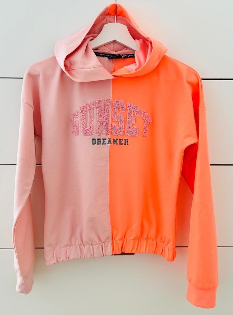 Super stijlvol sweatshirt, Meisje, Trui of Vest, Ophalen of Verzenden, Zo goed als nieuw