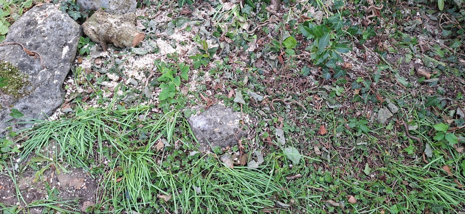 Foto 5 van Basalt blokken mooie voor aan je vijver Gratis met geld er b