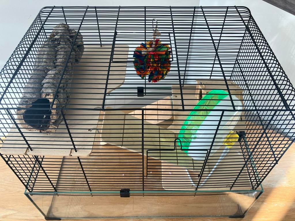 Leuke hamsterkooi, Dieren en Toebehoren, Minder dan 60 cm, Kooi, Minder dan 75 cm, Ophalen of Verzenden