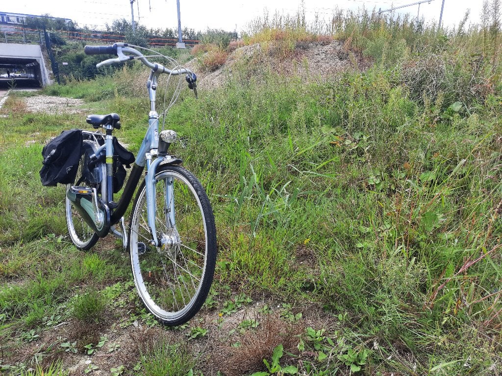 Damesfiets met vering, Ophalen of Verzenden, Zo goed als nieuw, 50 tot 53 cm, Handrem