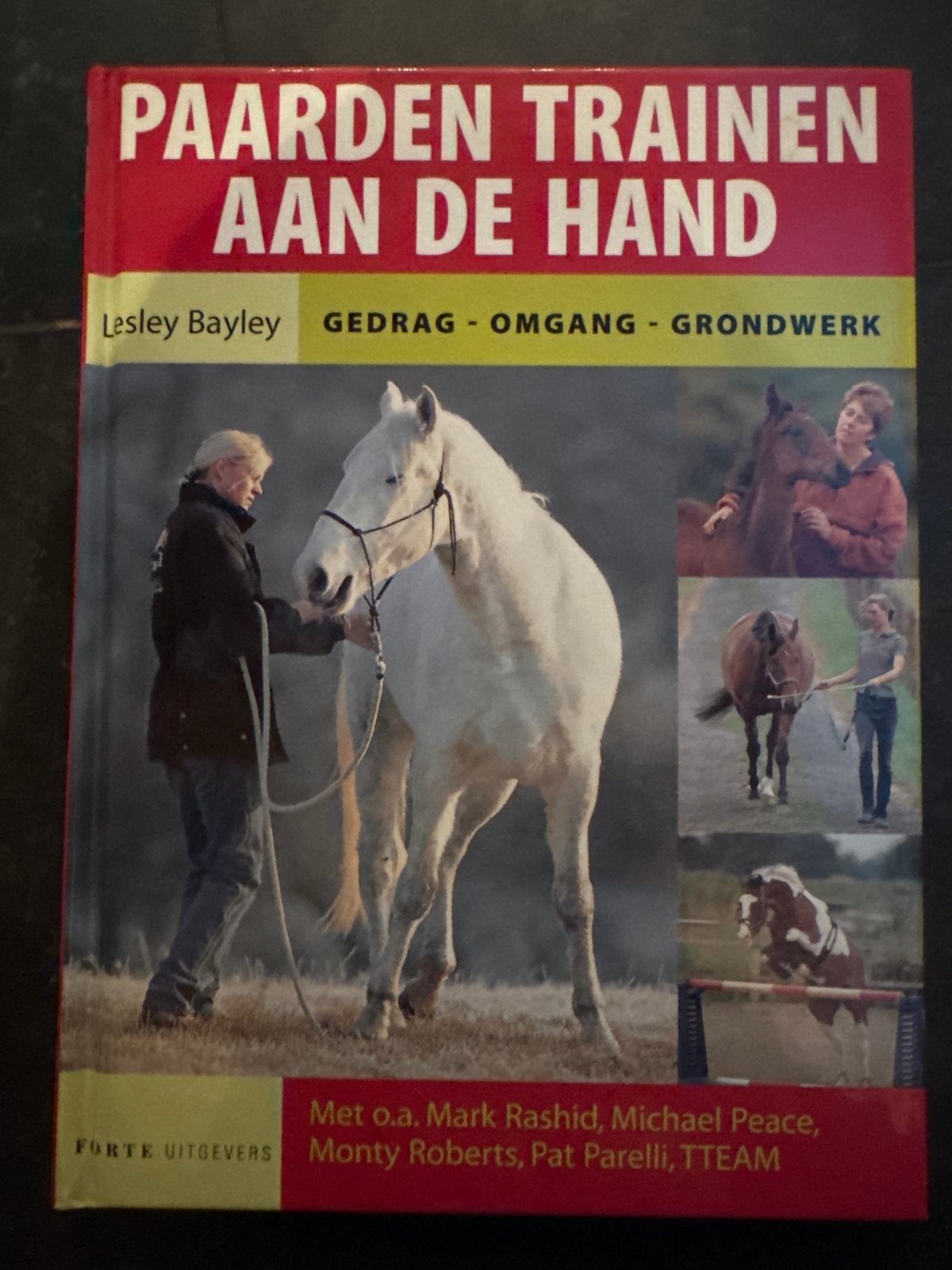 Paarden Trainen aan de Hand - Lesley Bayley, Ophalen of Verzenden, Zo goed als nieuw, Paarden of Pony's