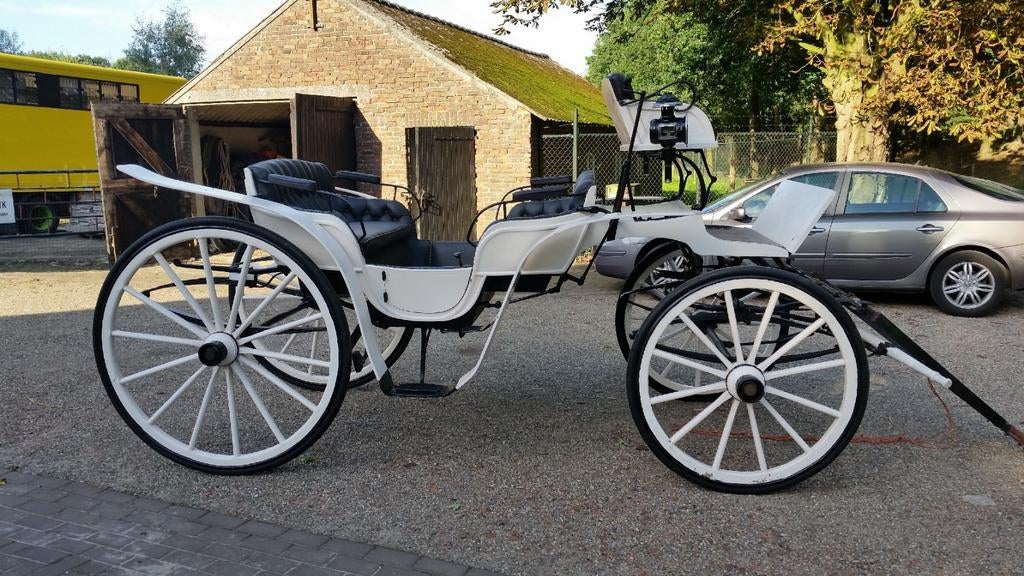 Rijtuigen koetsen, Nieuw, Overige typen, Paard