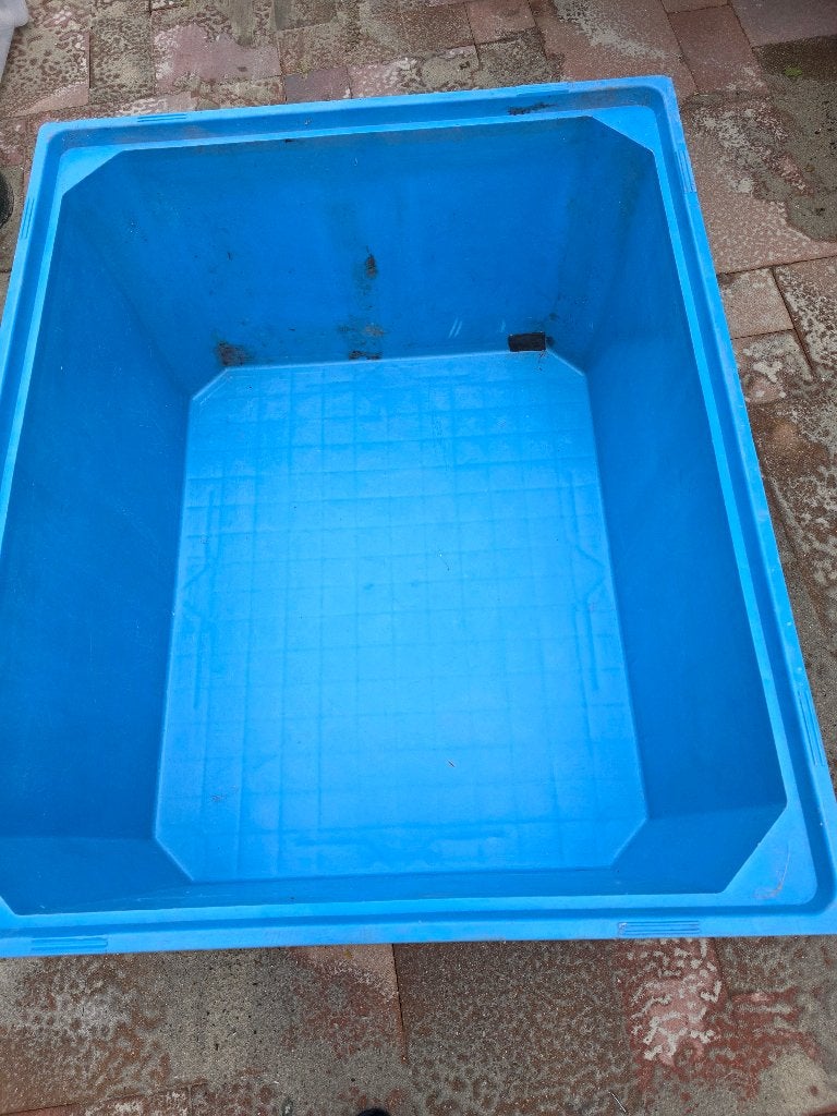 Te koop Palletbox / Quarantaine bak voor vissen, Ophalen, Gebruikt, Overige typen