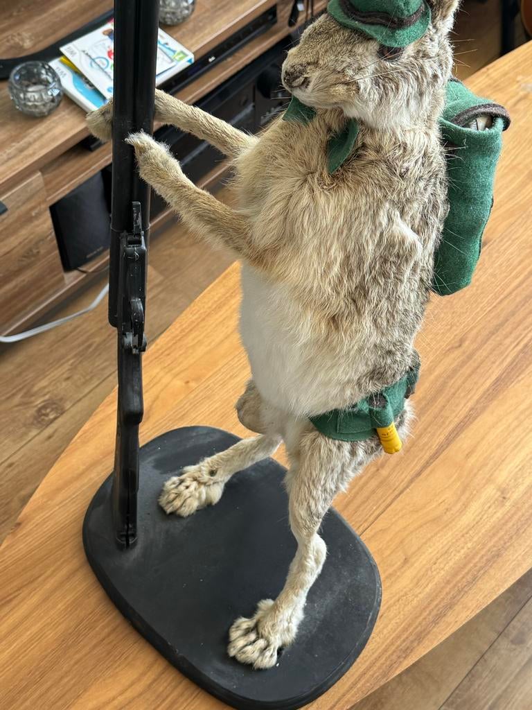 Kitch opgezette haas 'Bucks Bunny' met geweer en rugzak, Verzamelen, Dierenverzamelingen, Ophalen of Verzenden, Gebruikt, Wild dier