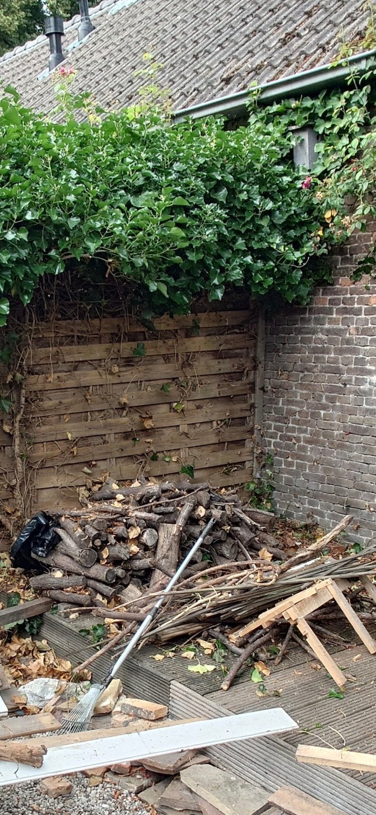 Brandhout: Gemengde blokken en takken, Minder dan 3 m³, Ophalen, Overige houtsoorten, Blokken