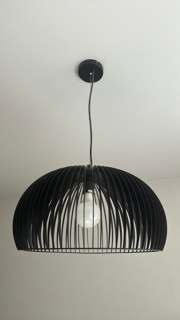 Hanglamp, Ophalen of Verzenden, Zo goed als nieuw, Minder dan 50 cm