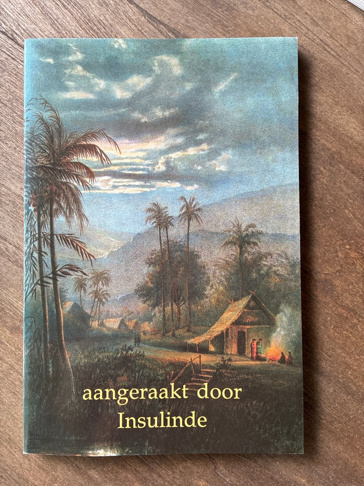 Aangeraakt door Insulinde - Boekenweek 1992, Boeken, Ophalen of Verzenden, Gelezen, Nederland