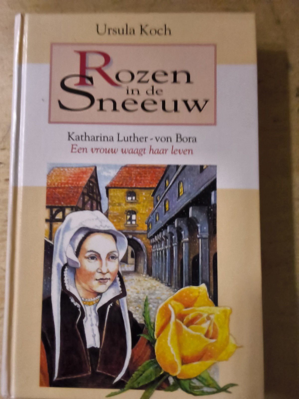 Diverse boeken: romans, woordenboek, thriller, Ophalen of Verzenden, Gelezen, Nederland