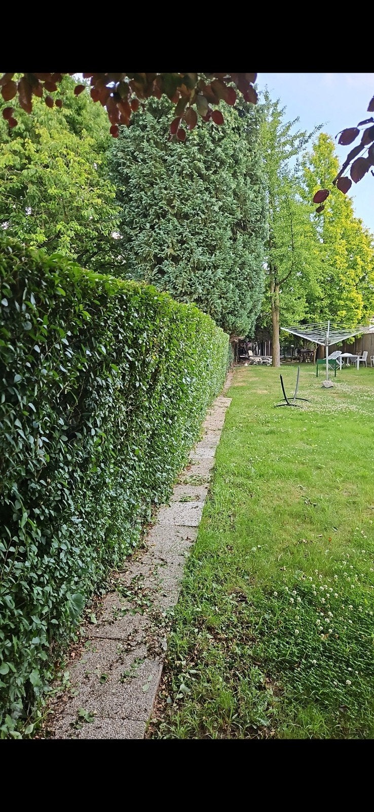 tuinman, hovenier, Ophalen of Verzenden, Overige soorten