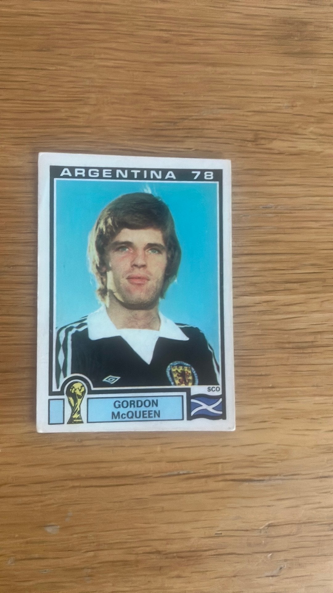 Panini Argentina ‘78, Ophalen of Verzenden, Zo goed als nieuw, Sticker
