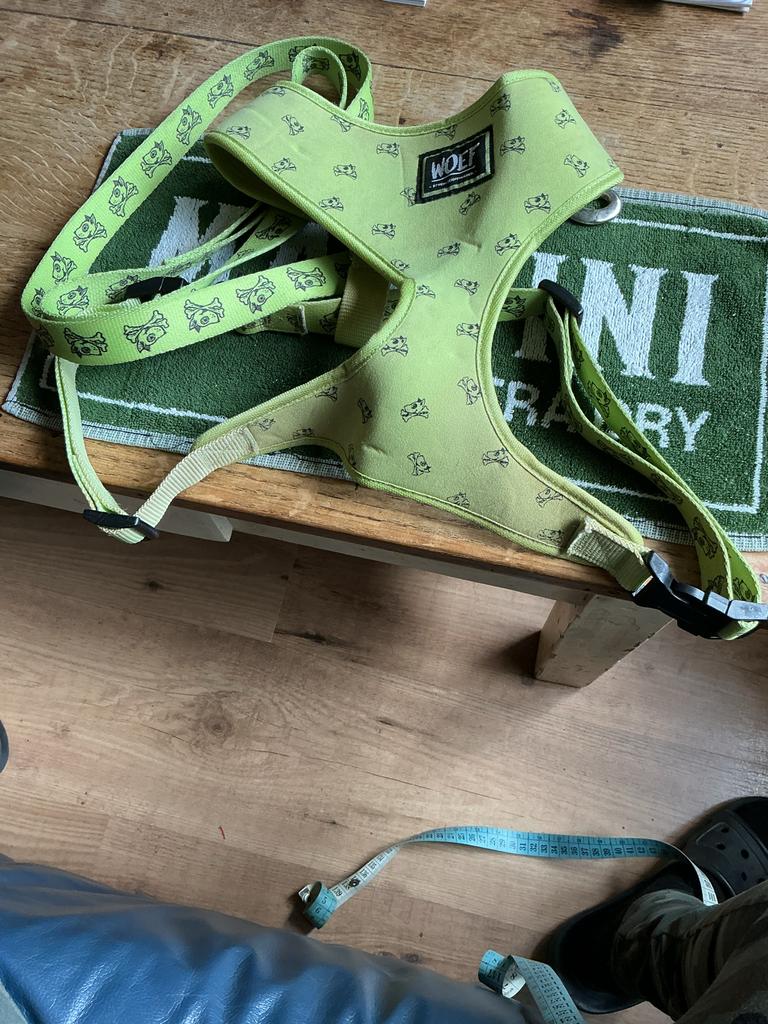 Hondentuig met riem van Woef, Ophalen of Verzenden