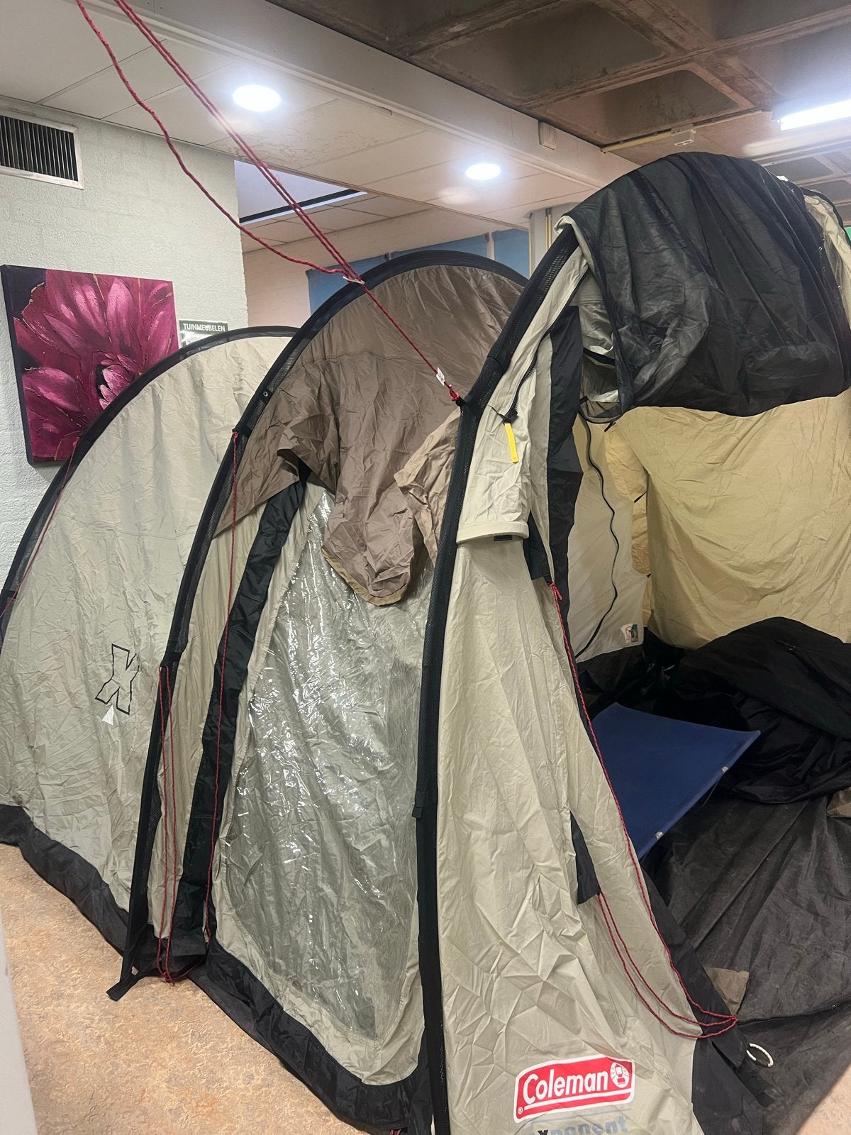 Coleman Exponent Mackenzie X4 Tent - Ruime 4-persoons tent, Ophalen, Gebruikt, Tot en met 4