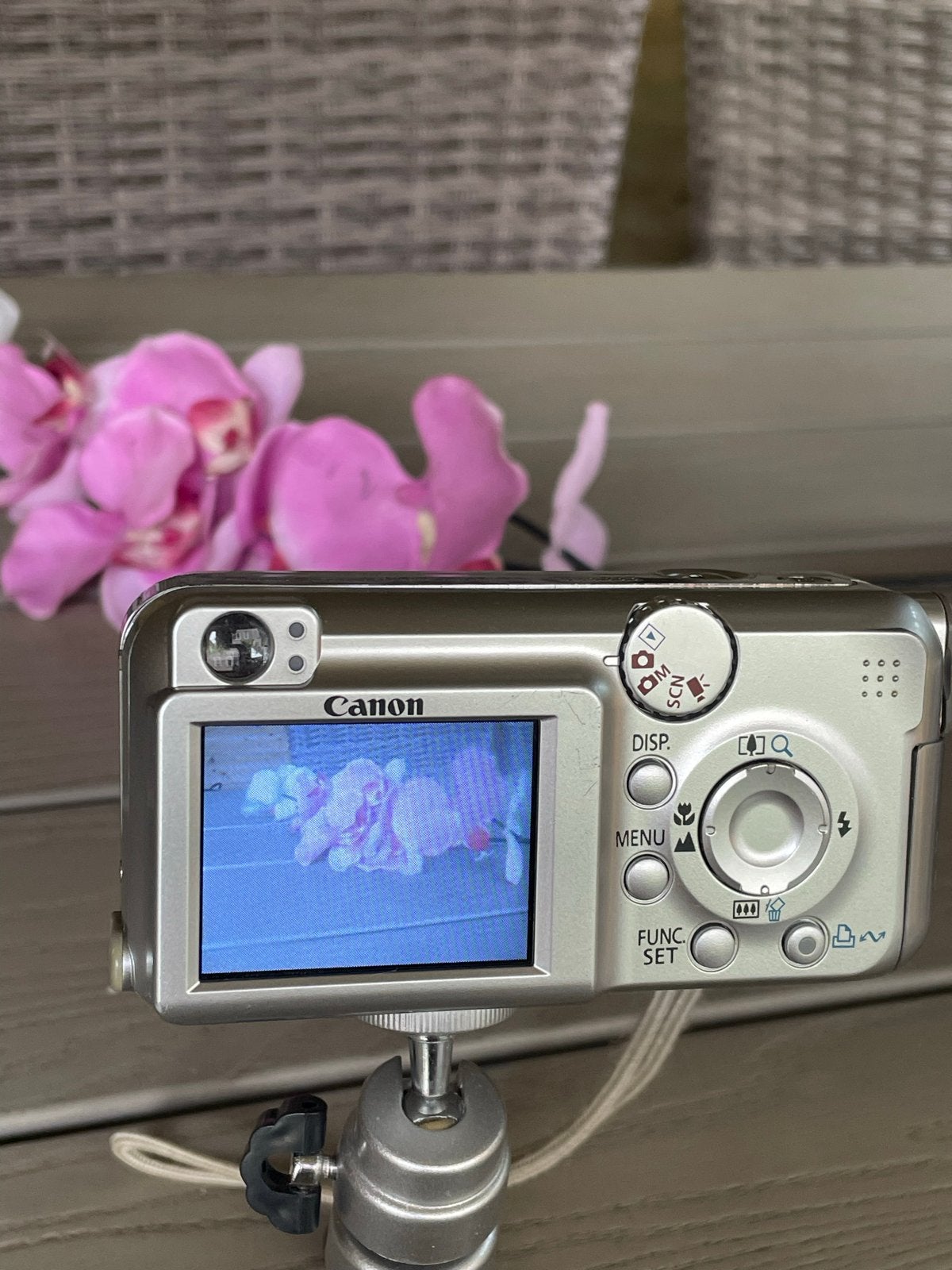 Foto 4 van Canon PowerShot A460 Compactcamera met 4x optische zoom