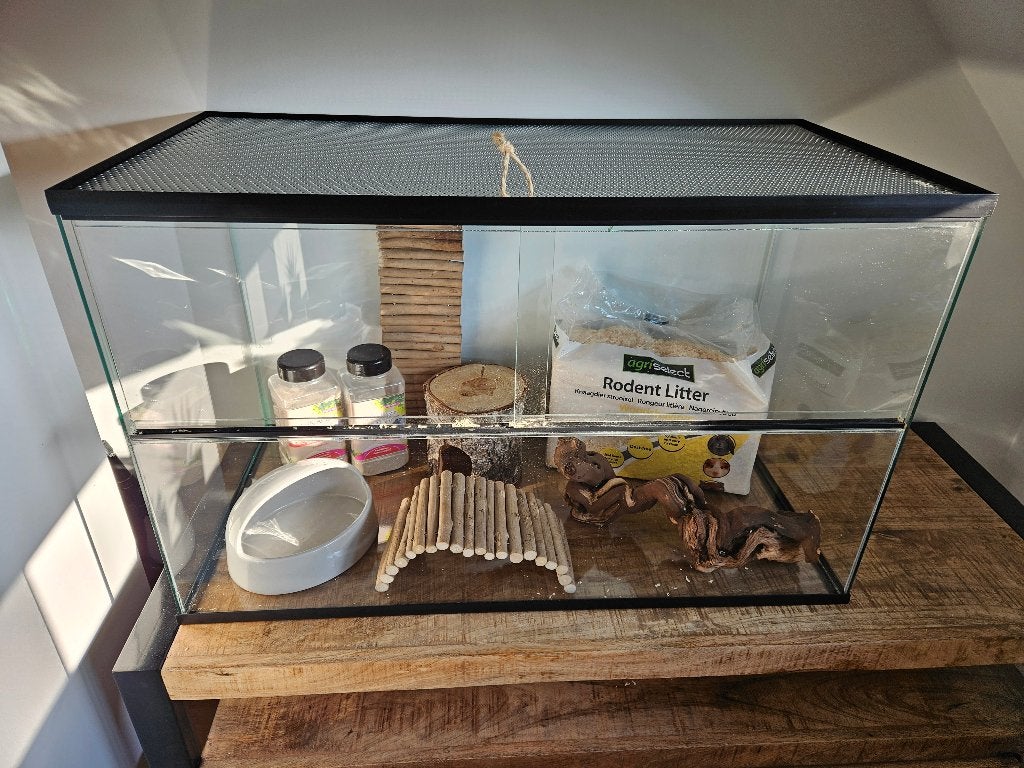 Glazen kooi/hok/bak/terrarium, Gebruikt, Muis, Hok, 75 tot 110 cm