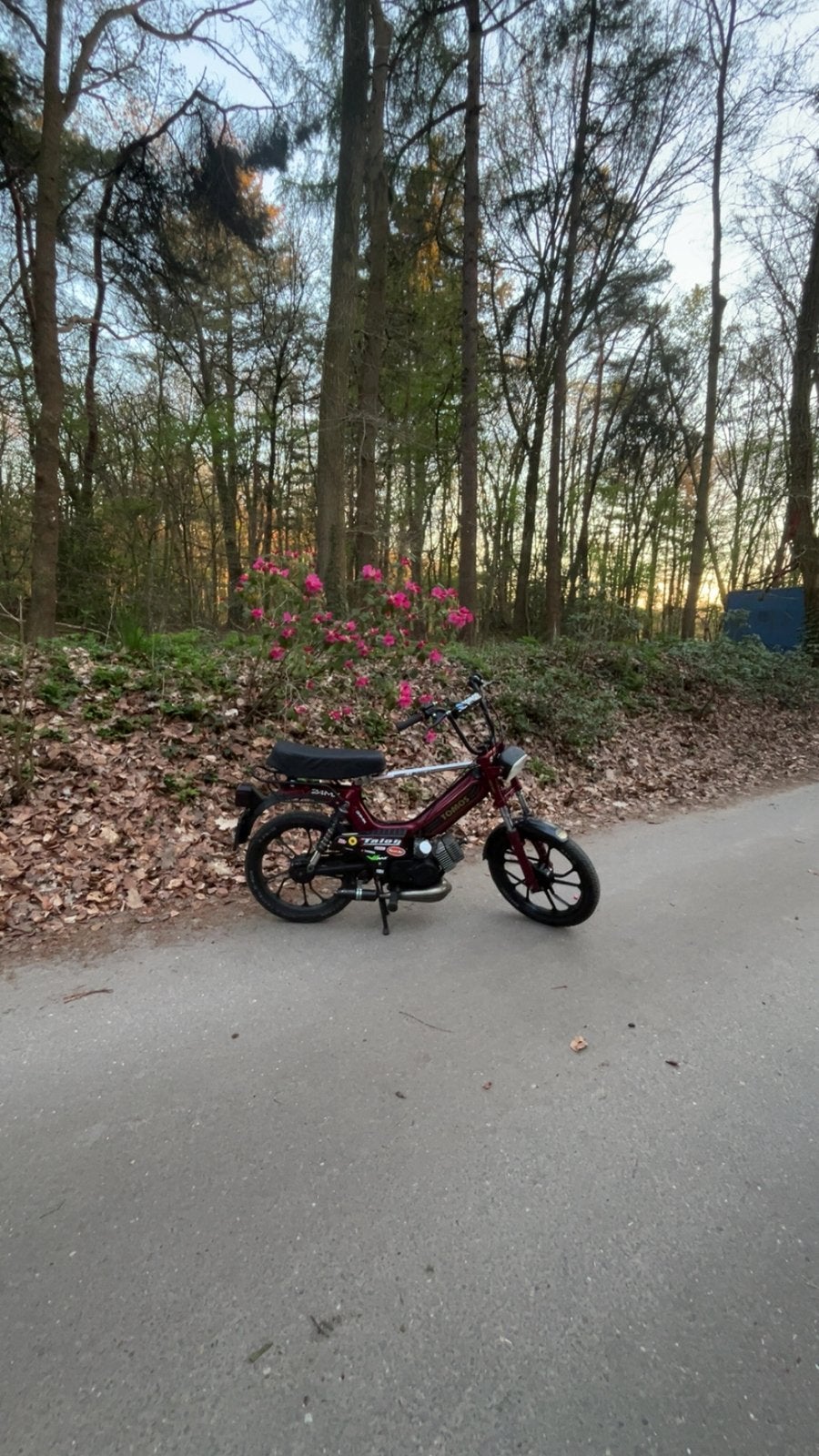 Mooie Tomos 65cc, Ophalen, Gebruikt, Overige modellen, 65 cc
