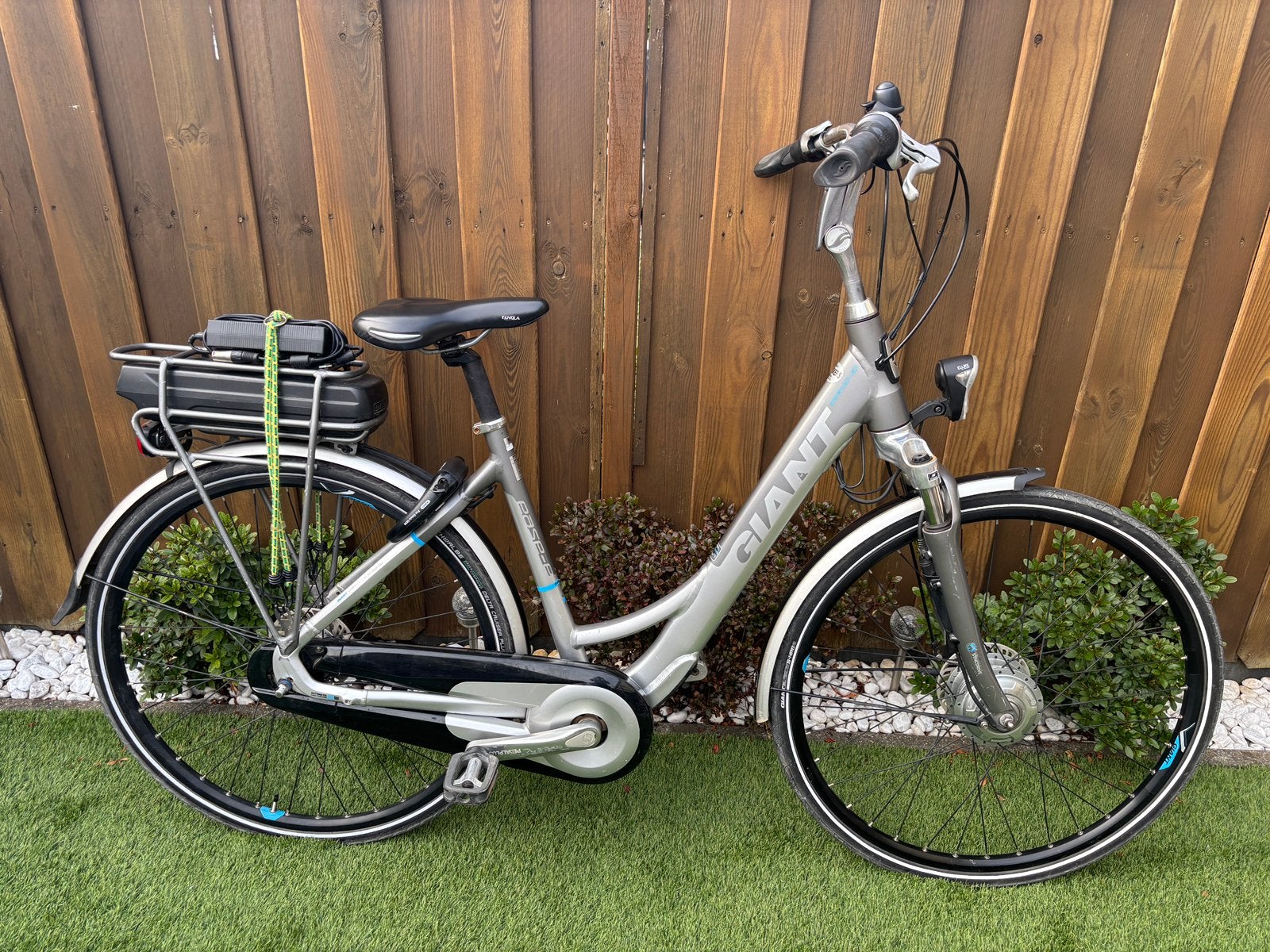 Giant Ease-e elektrische damesfiets, Ophalen, Giant, Zo goed als nieuw, 51 tot 55 cm