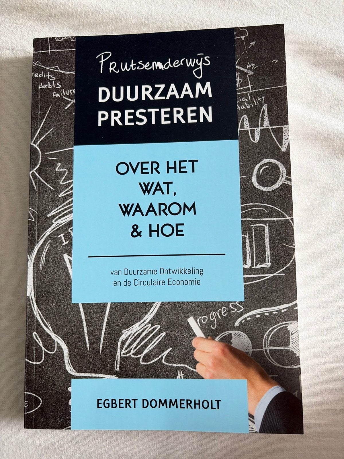 Prutsonderwijs Duurzaam Presteren - Egbert Dommerholt, Ophalen of Verzenden, Zo goed als nieuw, Overige onderwerpen