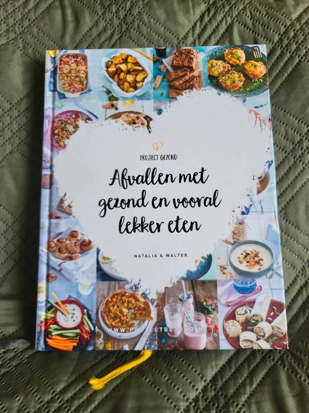 project gezond deel 1, Ophalen of Verzenden, Zo goed als nieuw, Nederland en België