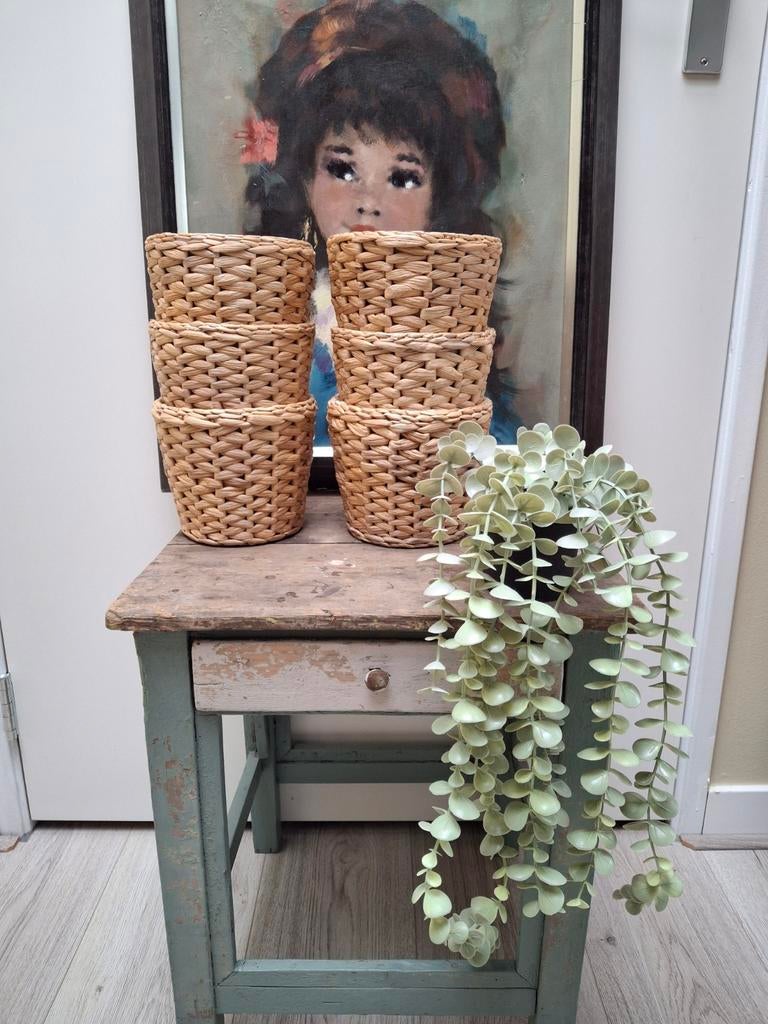 6 Prachtige rieten Ikea potjes en kunstplant, Beige, Ophalen of Verzenden, Zo goed als nieuw, Natuurlijk materiaal