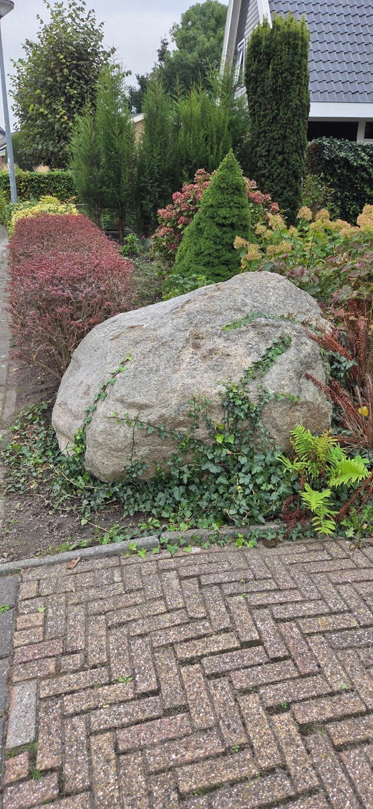 Grote natuurlijke zwerfkei, graniet/granodioriet, 3200 kg, Tuin en Terras, Ophalen, Gebruikt, Steen, Overige typen