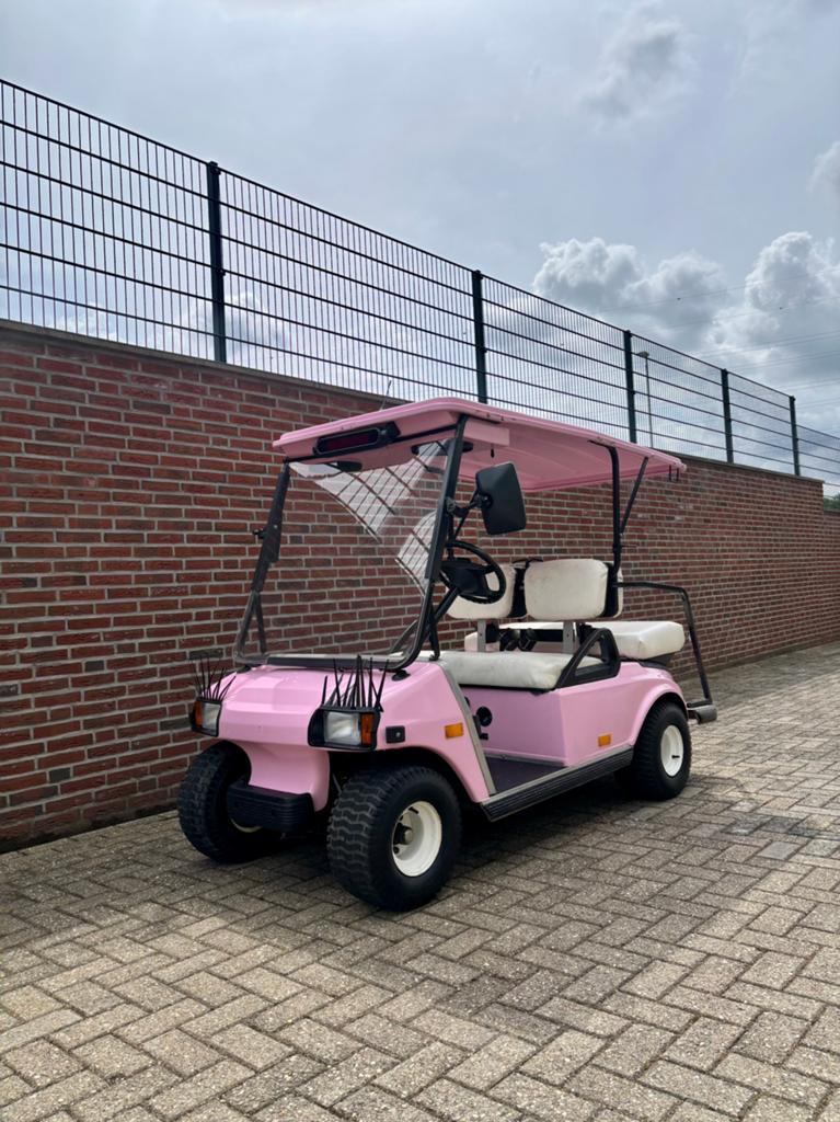 Prachtige Elektrische Roze Golfkar met KENTEKEN, Ophalen of Verzenden, Zo goed als nieuw, Golfkar