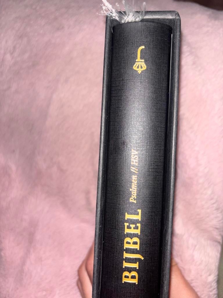 Bijbel Psalmen HSV - Zwart met gouden opdruk, Boeken, Ophalen, Zo goed als nieuw
