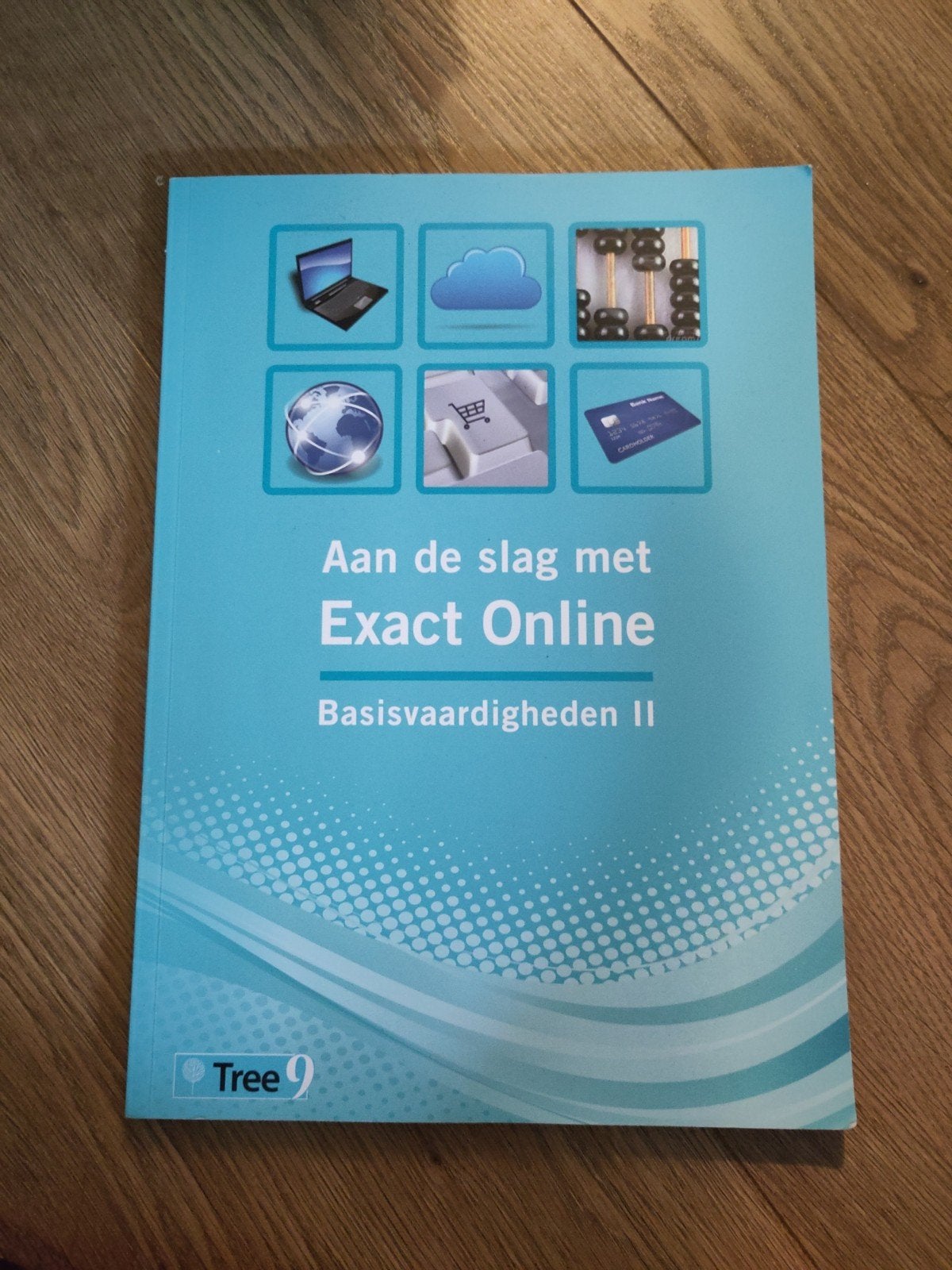 Aan de slag met Exact Online Basisvaardigheden II, Boeken, Tree9, Verzenden, HBO, Zo goed als nieuw