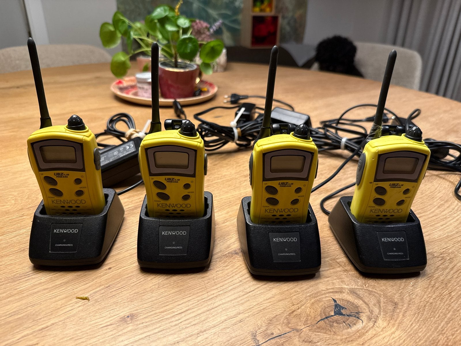 Kenwood UBZ-LJ8 PMR446 Portofoons (set van 4), Telecommunicatie, Ophalen of Verzenden, Gebruikt, 2 to 5 km, Portofoon of Walkie-talkie