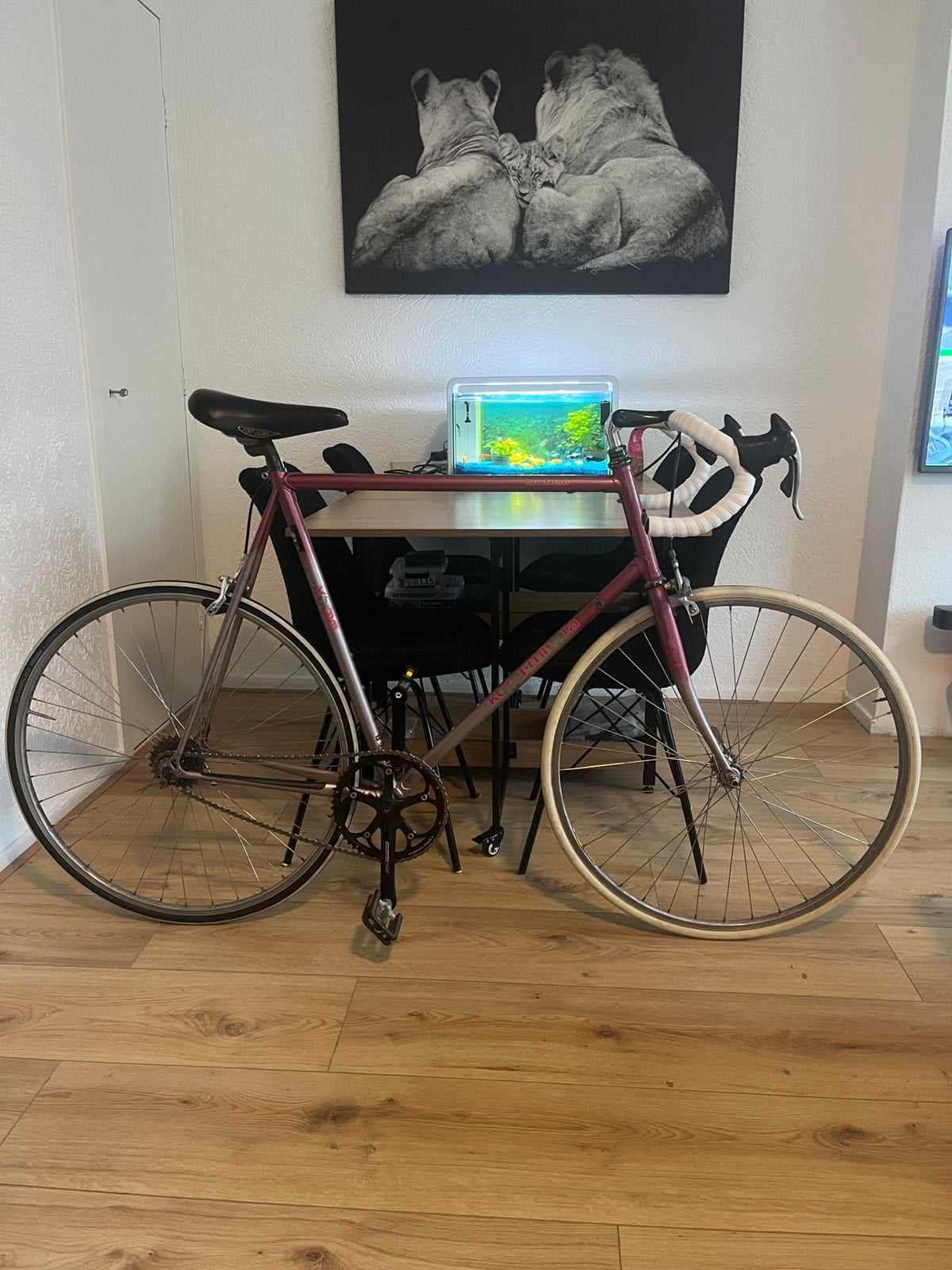 Koga Miyata Granspecial Single gear Campagnolo 63cm staal, Fietsen en Brommers, Fietsen | Racefietsen, Ophalen, 28 inch, Gebruikt