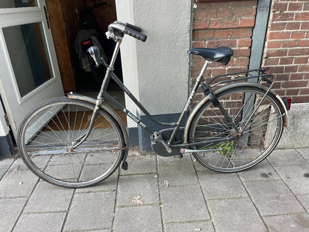 Gazelle fiets