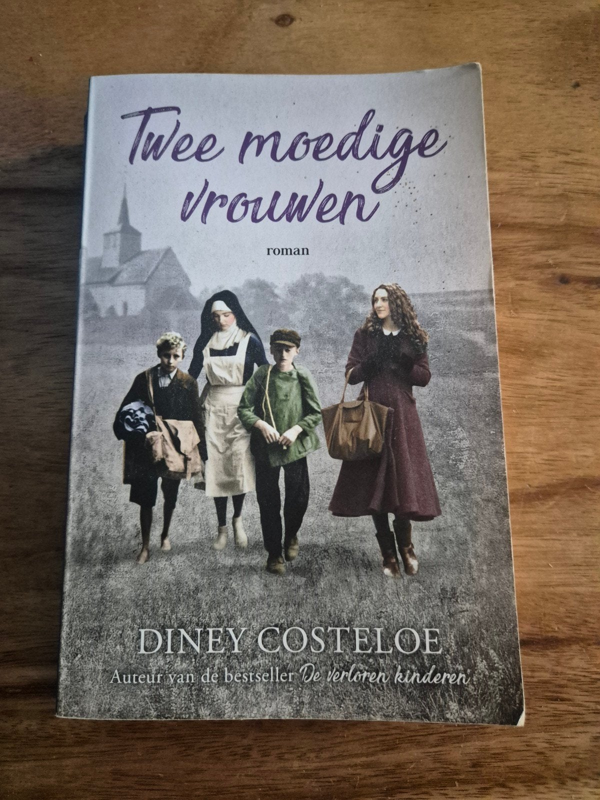 Twee moedige vrouwen - Diney Costeloe (roman), Ophalen of Verzenden, Gelezen