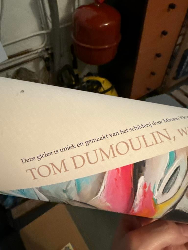 Giclee van Tom Dumoulin door Miriam Vleugels, Ophalen of Verzenden