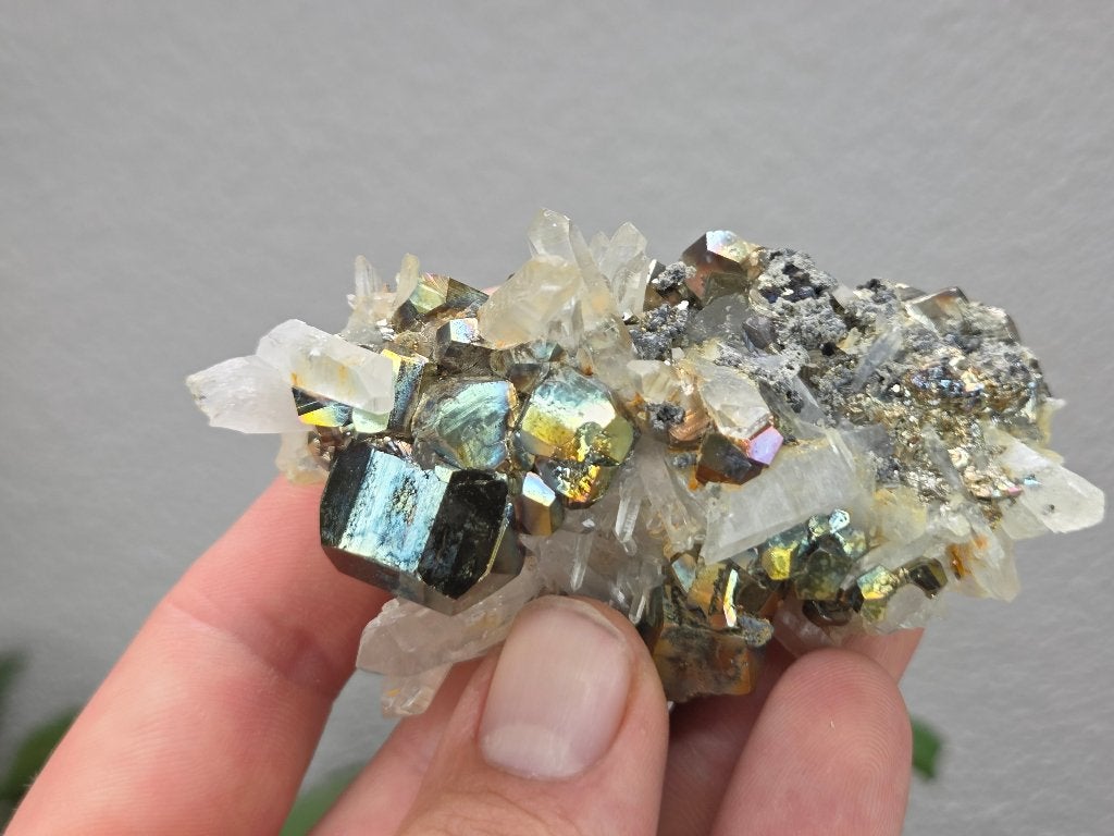 Regenboog Pyriet Indonesië, Ophalen of Verzenden, Mineraal