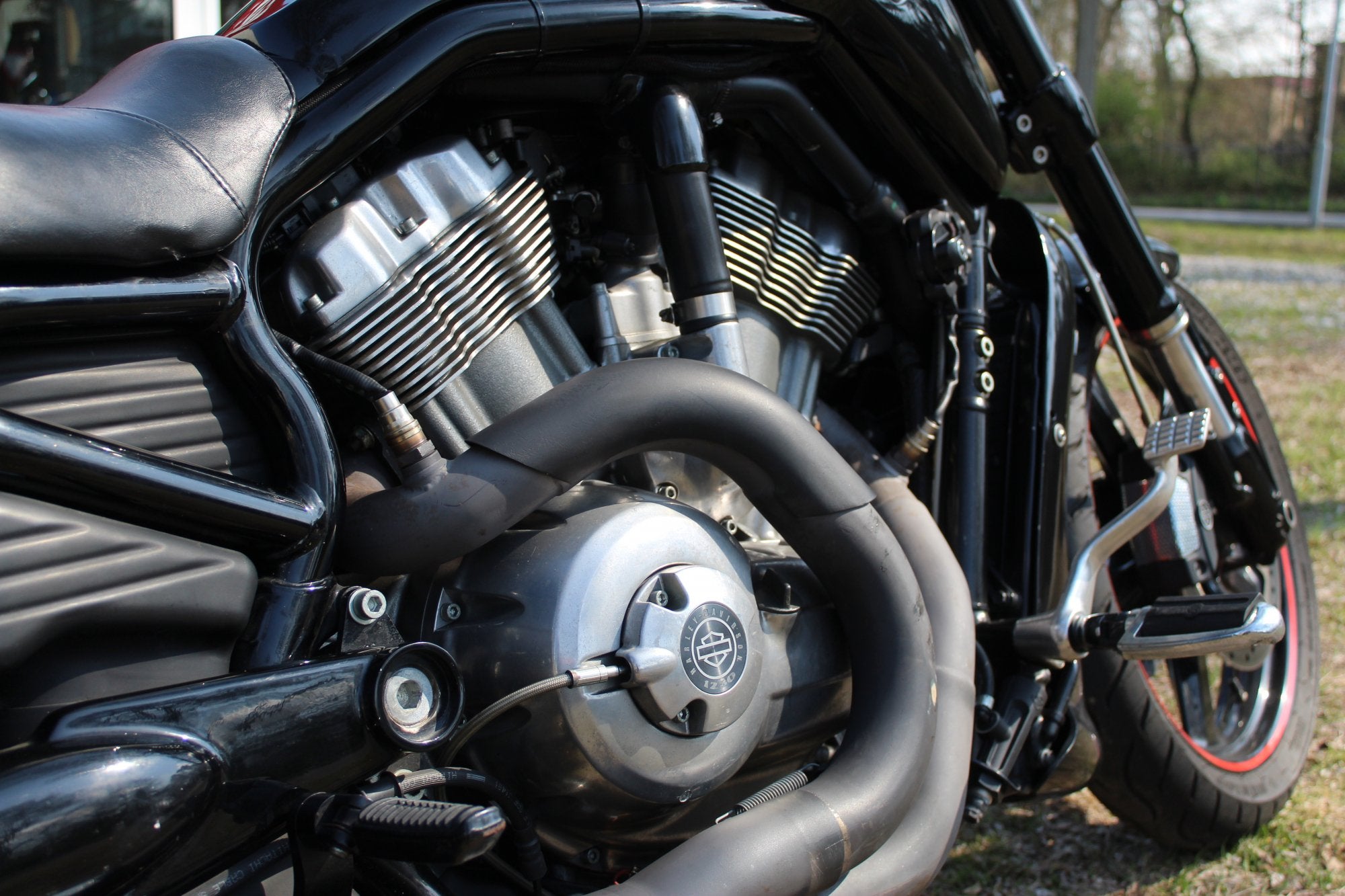 Harley-Davidson V-Rod Muscle, Motoren, Chopper, Bedrijf, Meer dan 35 kW, 1250 cc