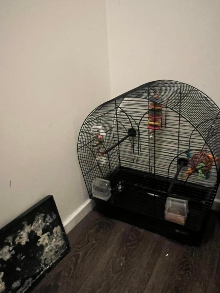 Goede staat, Ophalen of Verzenden, Zo goed als nieuw, Metaal, Vogelkooi