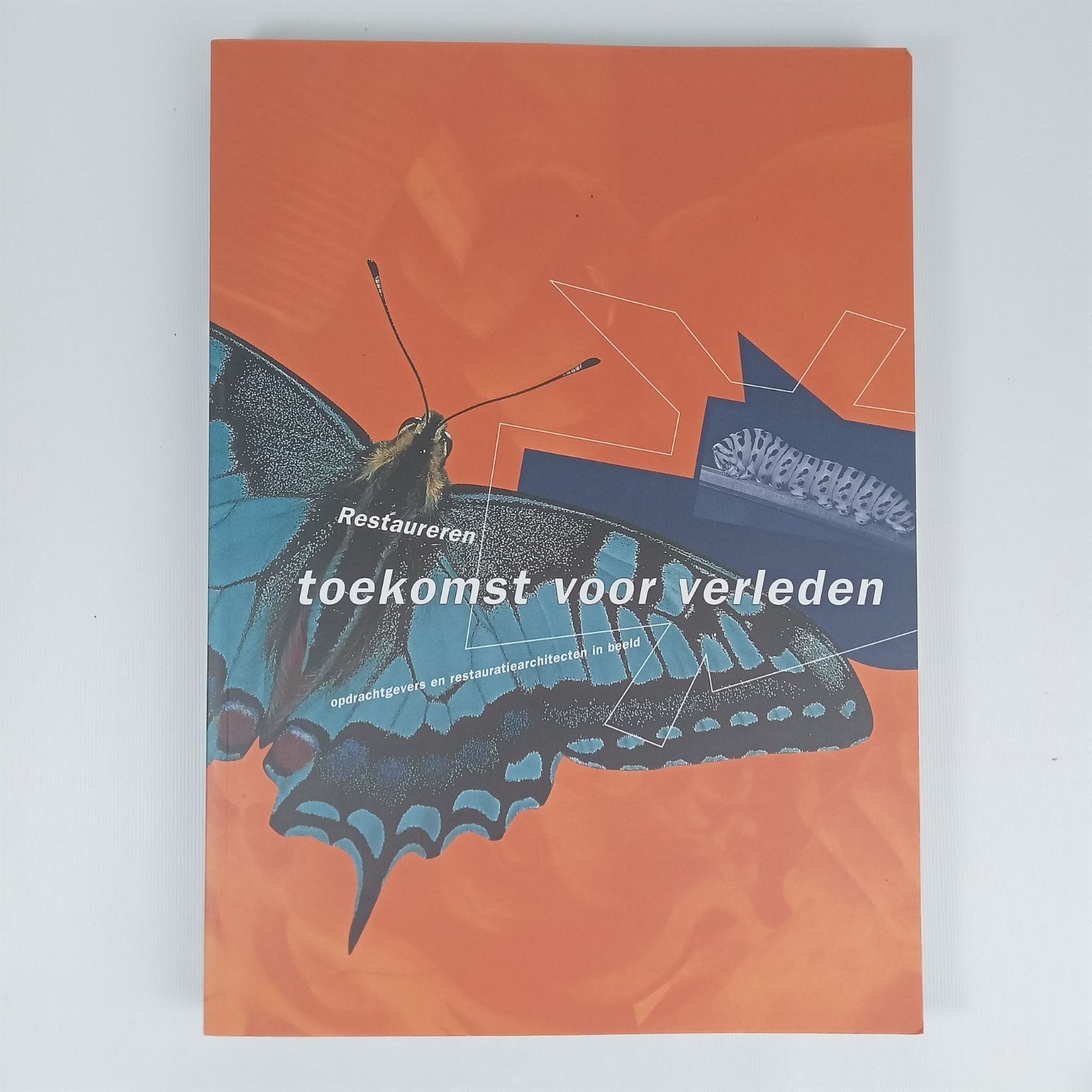 Restaureren: Toekomst voor Verleden - Architectuur Boek, Boeken, Ophalen of Verzenden, Gelezen, Architectuur algemeen