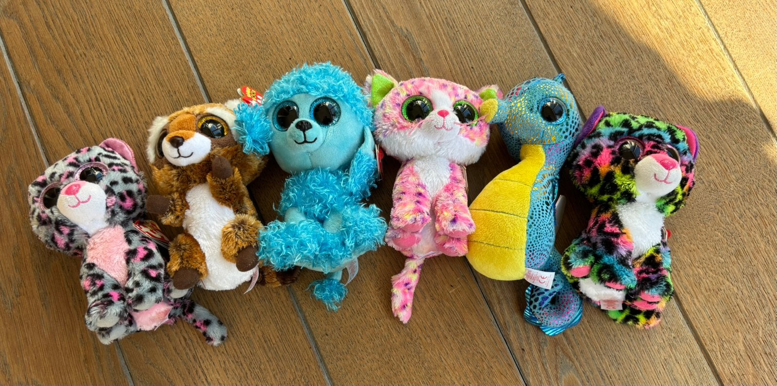 6 Ty beanie boo’s knuffels, Ophalen of Verzenden, Zo goed als nieuw, Klein (minder dan 20 cm)