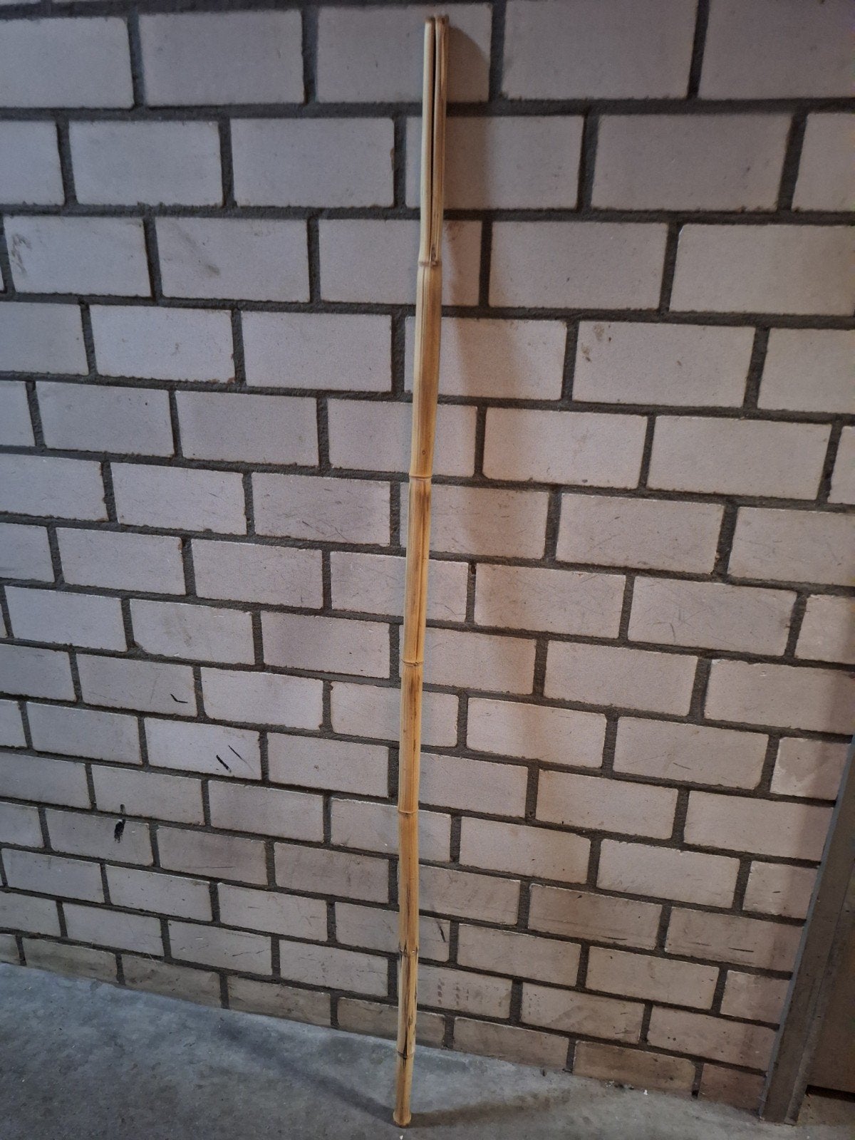 Bamboo stok, Diversen, Wandelstokken, Ophalen