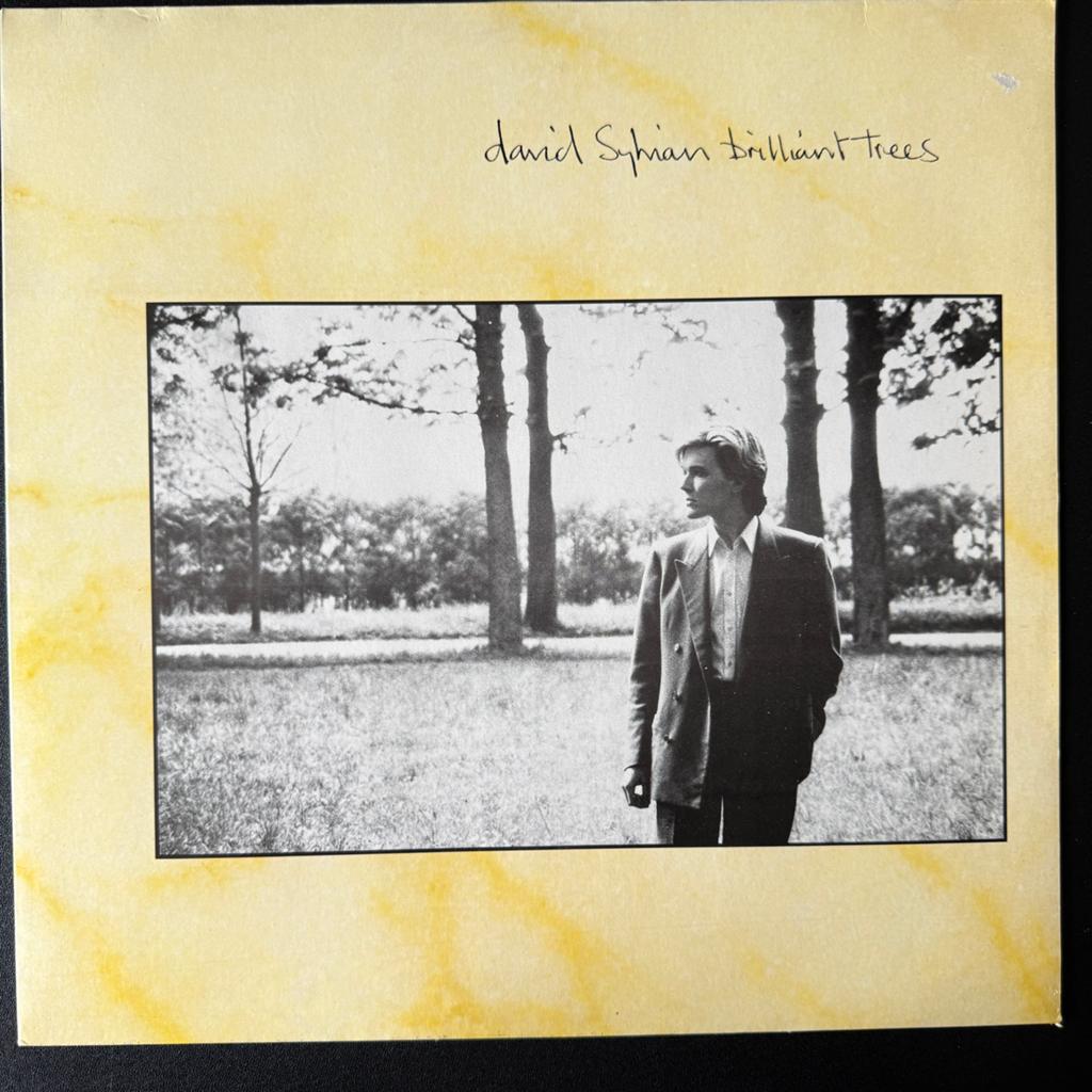 David Sylvian – Brilliant Trees 1st EU Pressing | DMM | LP, 1980 - 1989, Ophalen of Verzenden, Zo goed als nieuw, Inclusief binnenhoes