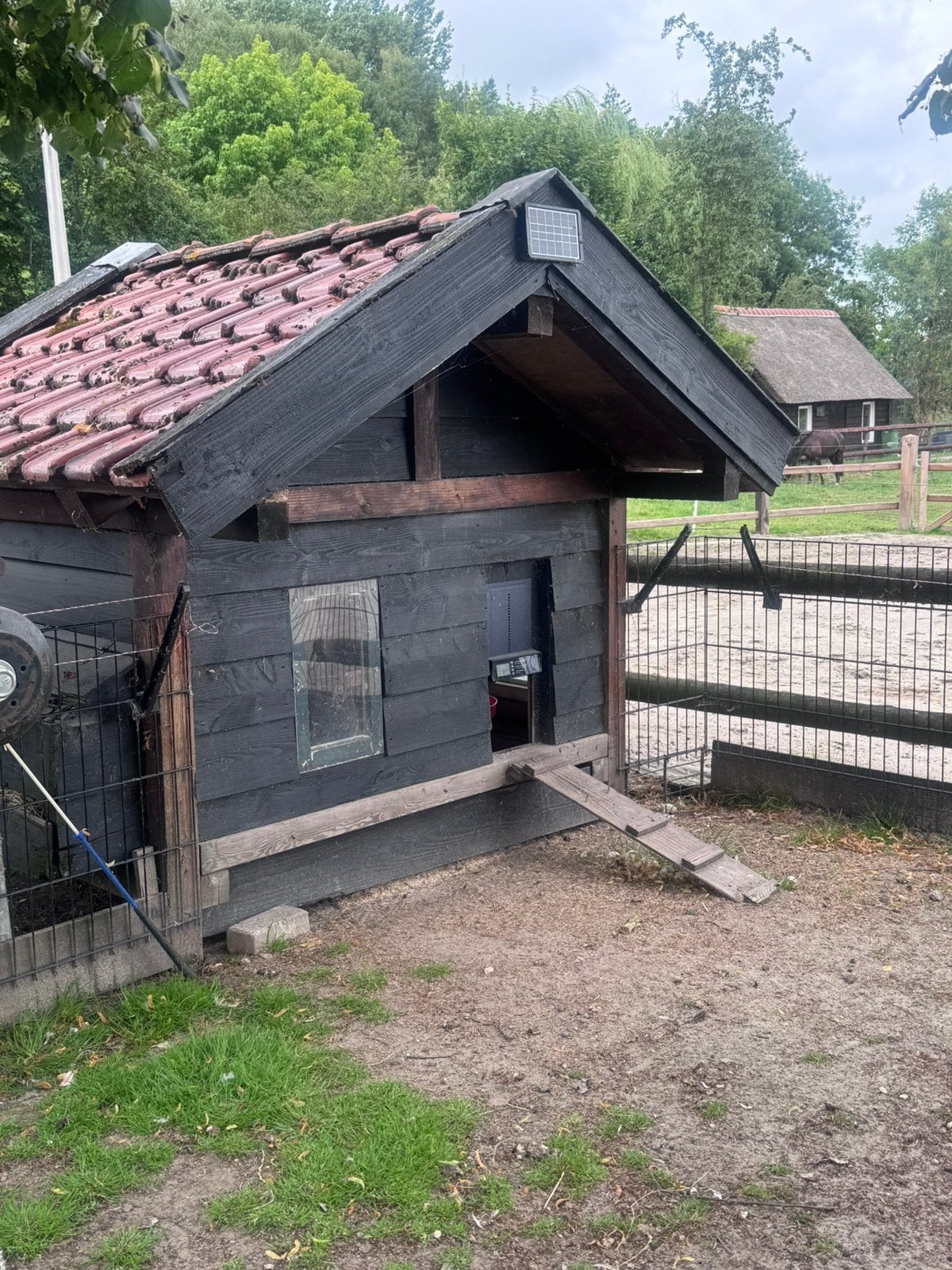 Kippenhok groot met leghok kippenren met automatisch luik., Ophalen, Gebruikt, Kippenhok of Kippenren