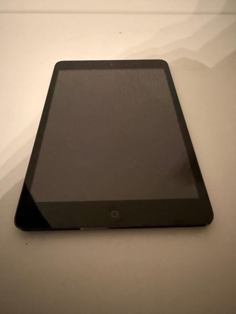 Apple Ipad Mini (1e generatie), Computers en Software, Apple iPads, Gebruikt, Apple iPad, 7 inch of minder, 16 GB, Ophalen