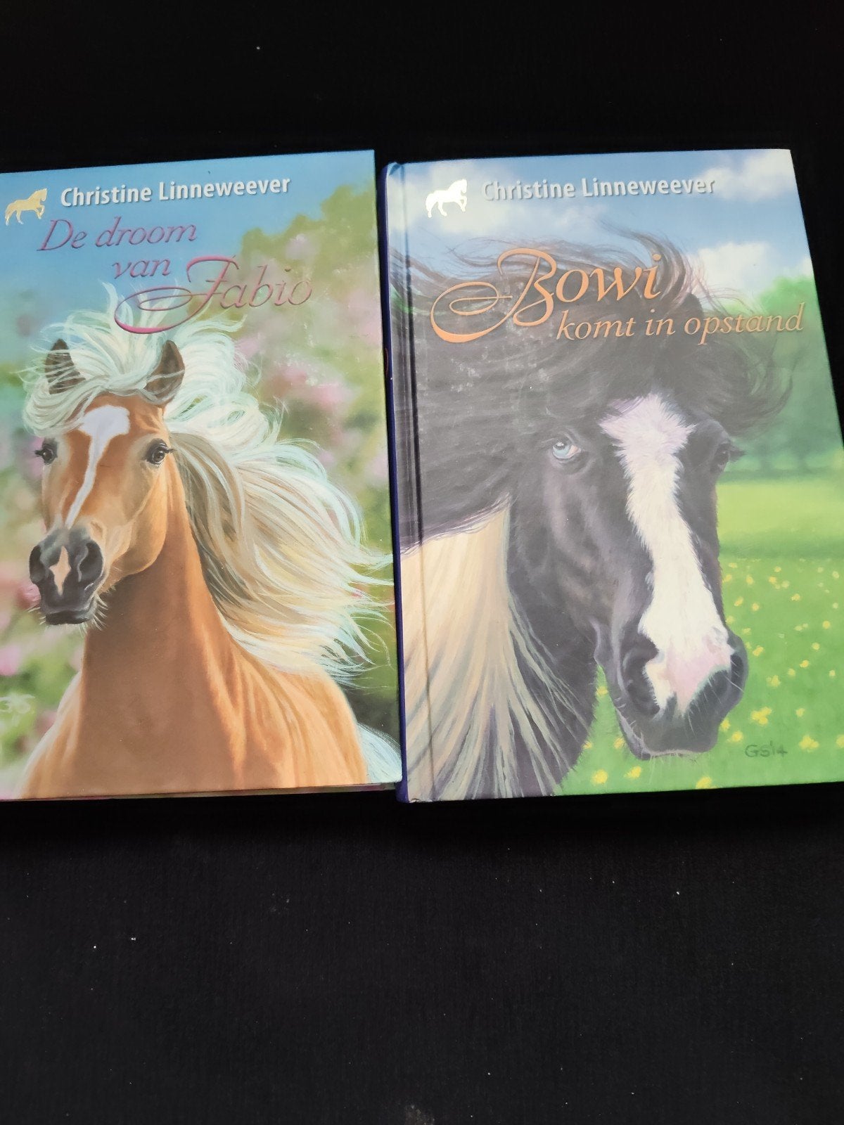 2x Christine Linneweever paardenboeken: Fabio & Bowi, Boeken, Ophalen of Verzenden, Zo goed als nieuw, Christine Linneweever, Fictie algemeen