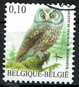 Ruigpootuil Buzin 2007 (OBP 3624 ), Ophalen of Verzenden, Gestempeld