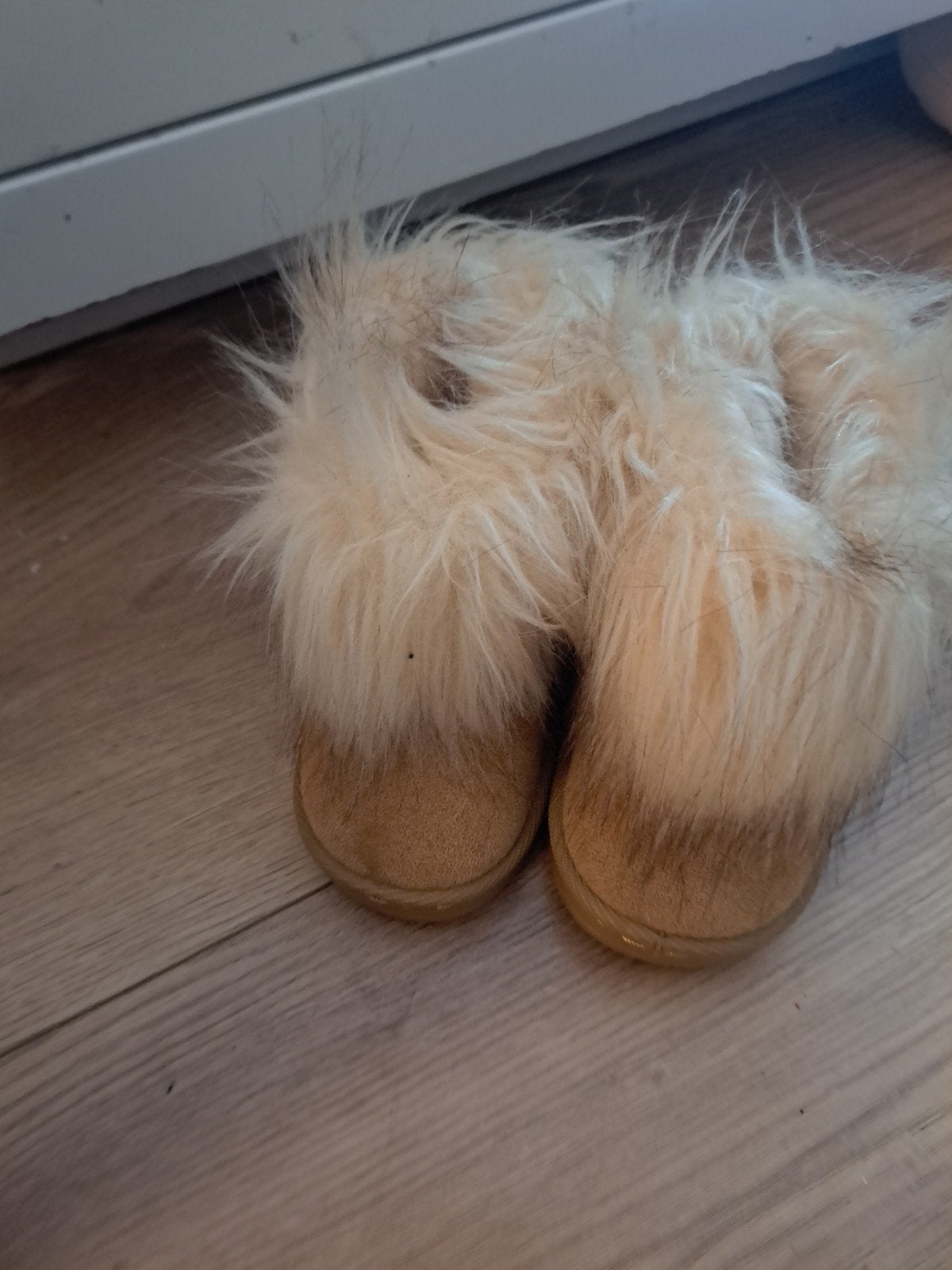 nieuwe schoenen maat 20, Ophalen, Nieuw, Schoentjes