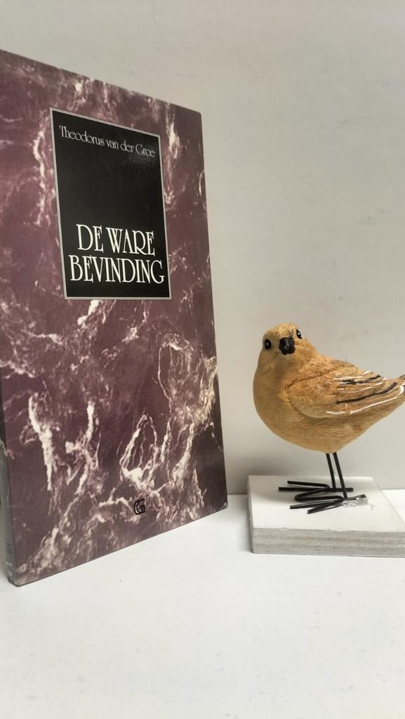 Groe, Th. Van der; De ware bevinding, Boeken, Ophalen of Verzenden, Gelezen, Christendom | Protestants
