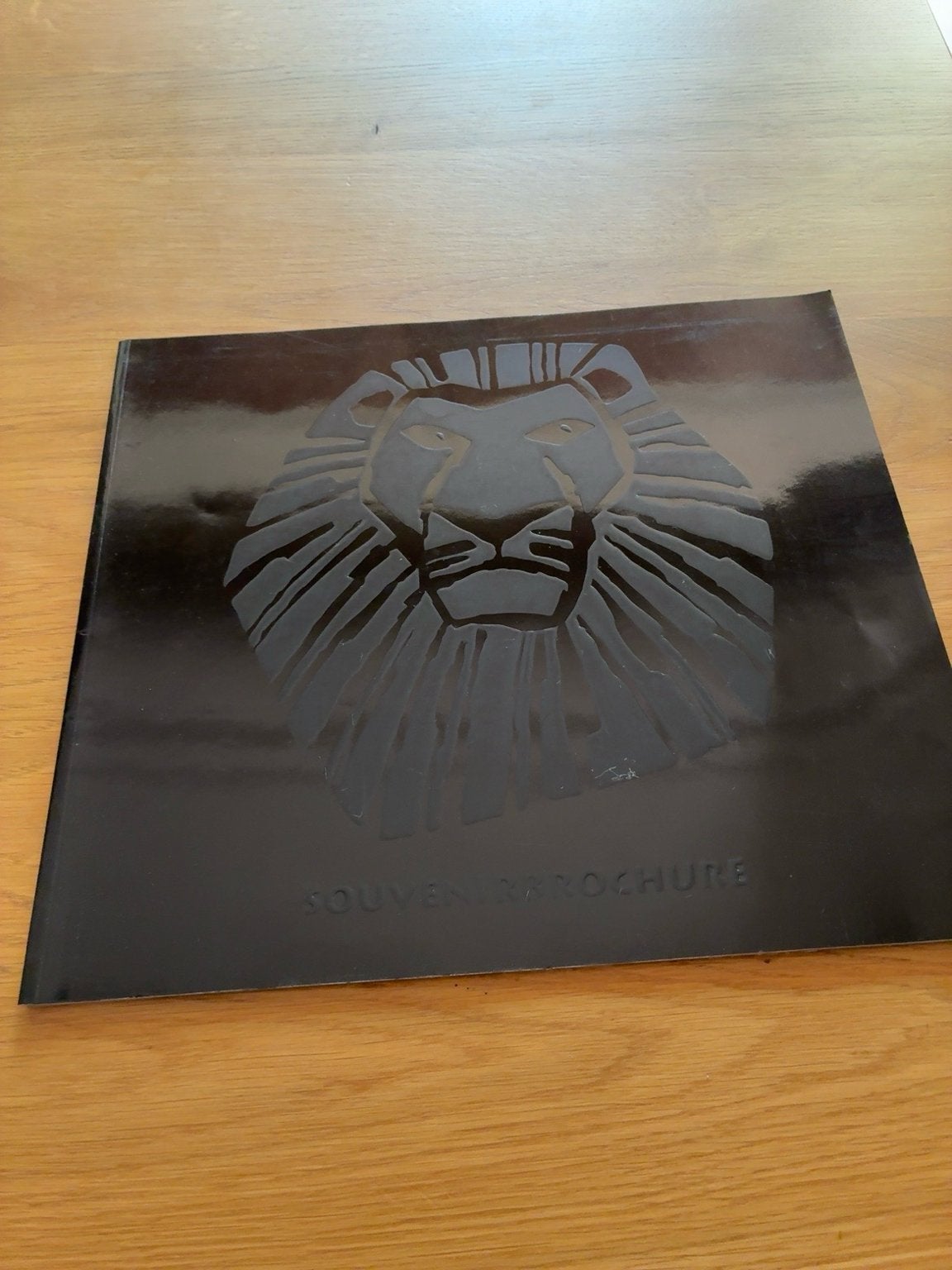 The Lion King Souvenirboek Nederlandse Musical, Verzenden, Zo goed als nieuw, Ballet of Musical