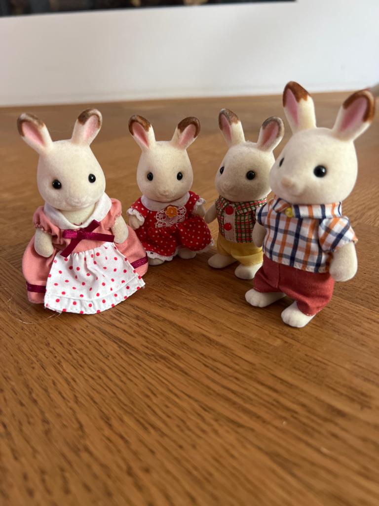 Sylvanian Families Konijnenfamilie - 4 Figuren, Ophalen of Verzenden, Gebruikt, Jongen of Meisje