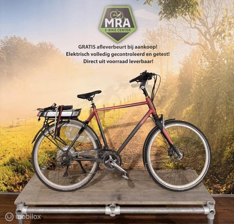 Sparta R20I, Fietsen en Brommers, Elektrische fietsen, Gebruikt, Sparta