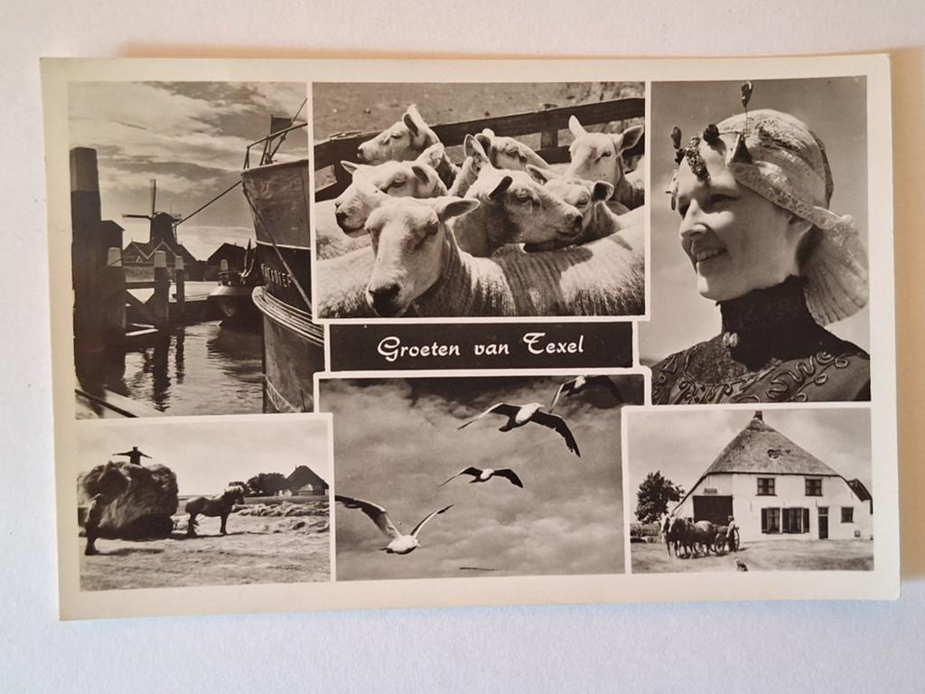 Texel 4, Ophalen of Verzenden, Waddeneilanden