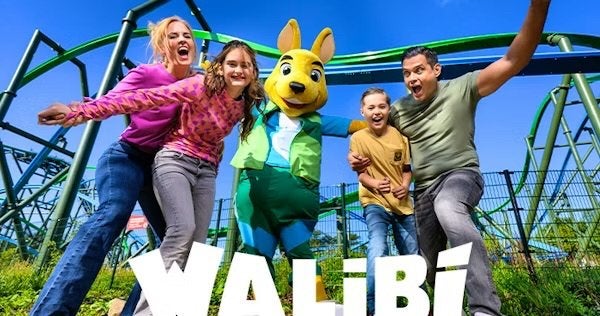 Walibi kaartje, Eén persoon, Ticket of Toegangskaart